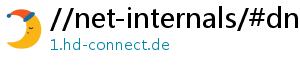 //net-internals/#dns